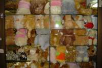 2008.06.08_16.59.47.jpg