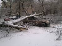 2010.12.26_12.38.05.jpg