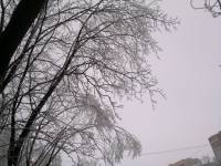 2010.12.26_13.38.17.jpg