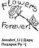 Flowers Forever