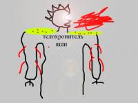 (  )